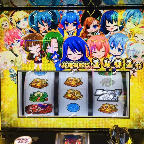 3 王妃甲蟹錦 厚葉 コンパクタ アガベ Agave isthmensis ‘Ohi Kabutogani’ f. variegata