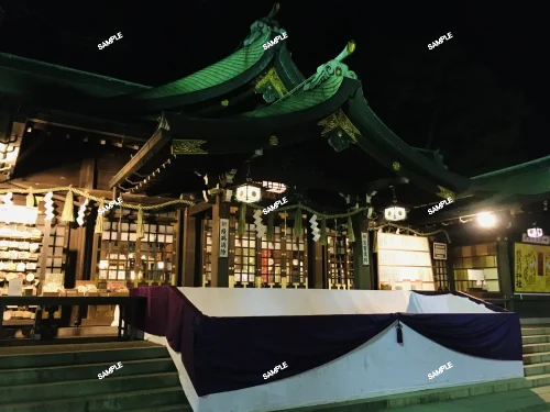 蘇鉄麒麟 （鉄甲丸×鱗宝）×鉄甲丸 ユーフォルビア Euphorbia Sotetsukirin