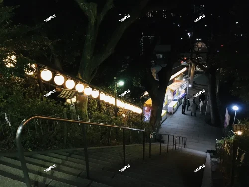 アガベ フィリフェラ ピンキー 笹の雪 A型 錦 Agave filifera var. compacta ‘Pinky’